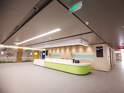 醫(yī)用鋼制復合墻板(烤漆/木紋膜)